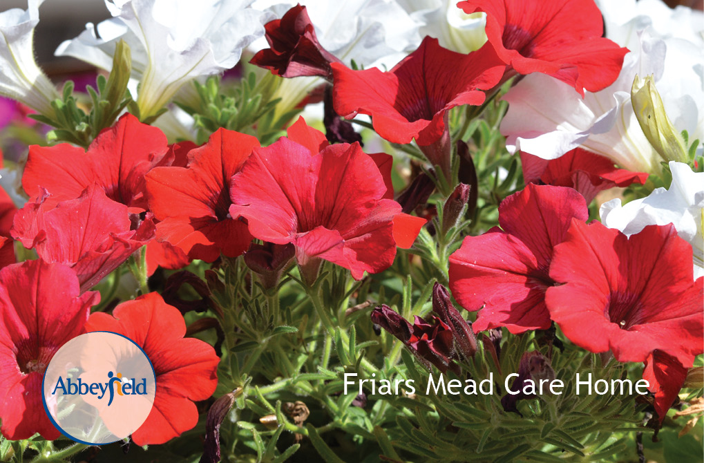 Care home gardens Abbeyfield Friars Mead Care Home