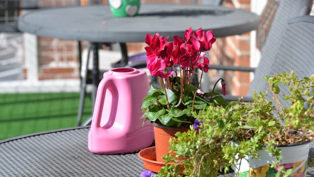 Friars Mead Care Home gardens